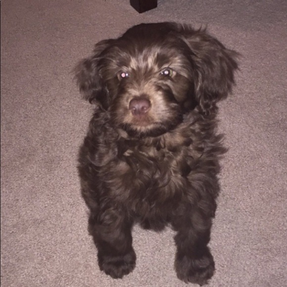 Meet your Posher, Emily - Picture 1 of 1